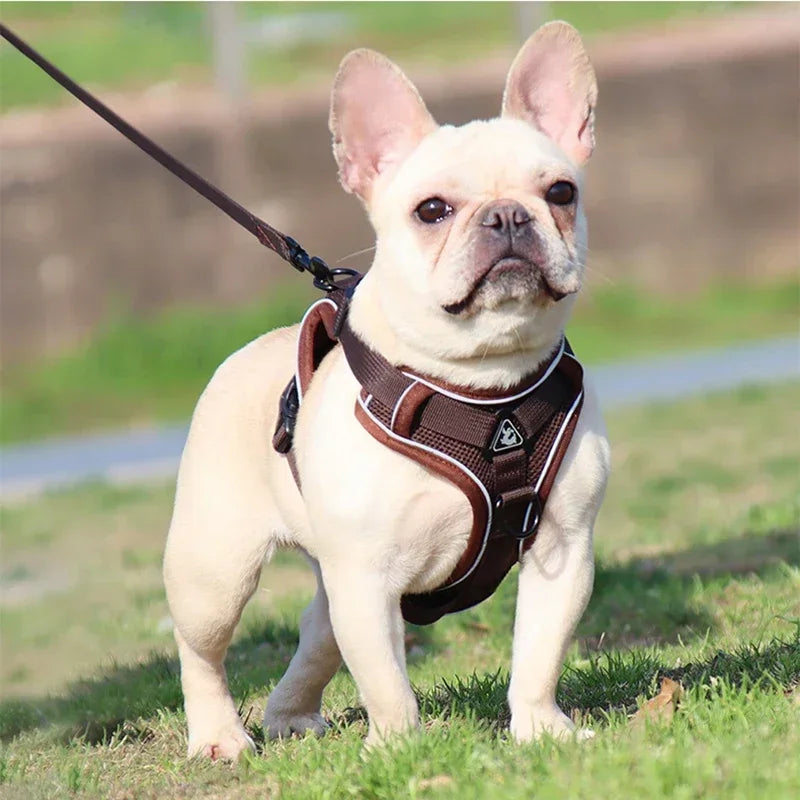 No-Pull Reflective Dog Harness & Leash Set